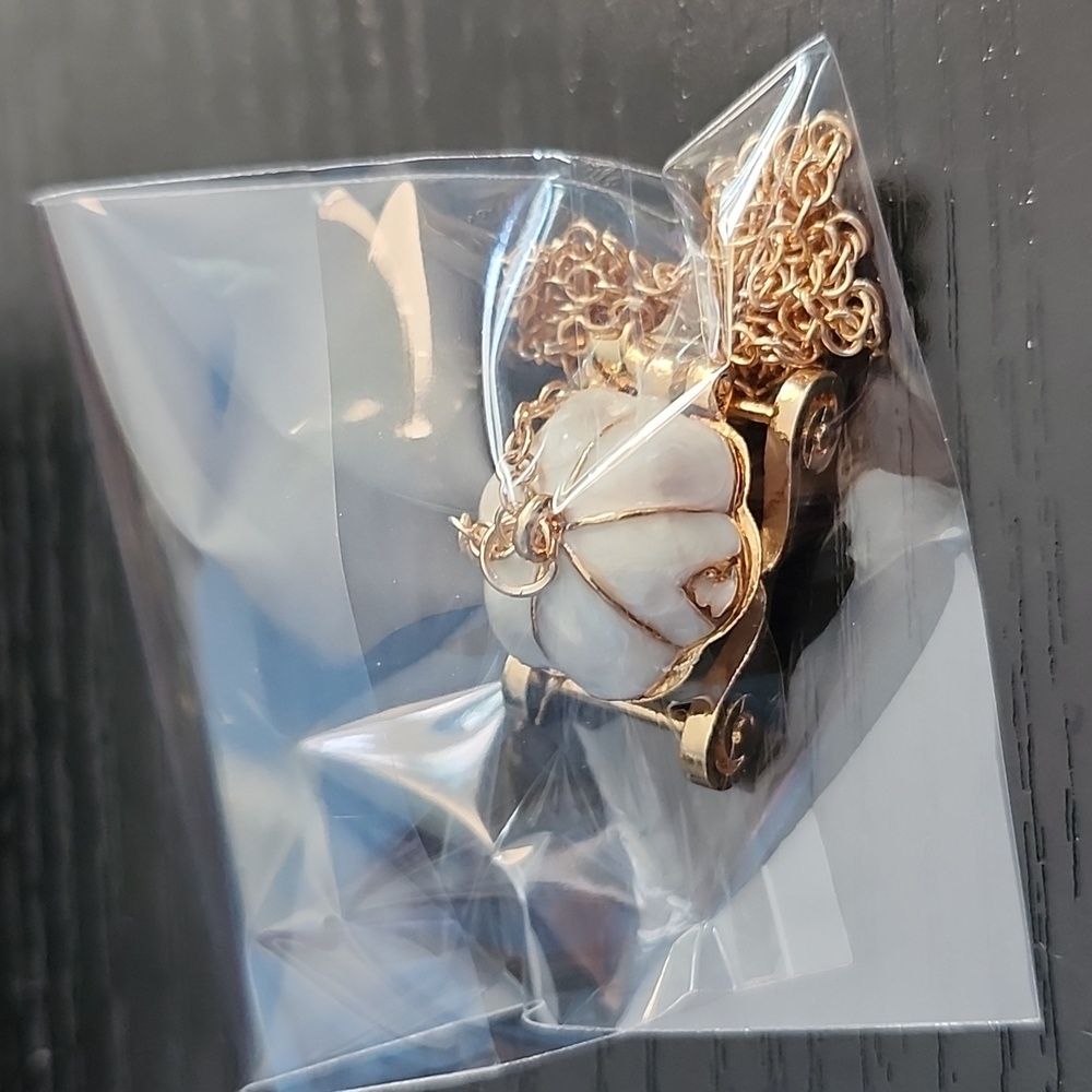 Disney's Cinderella Carriage Inspired Locket Necklace - Picture 5 of 5